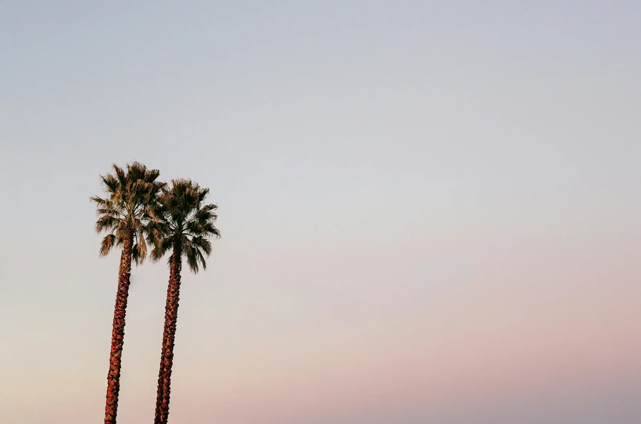 Shaping the future of real estate